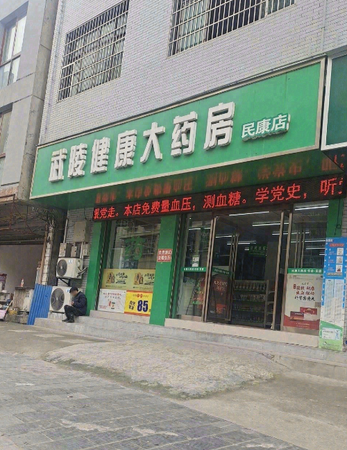 武陵健康大药房(民康店)的图标