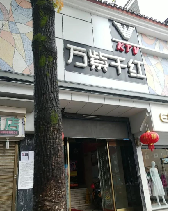 万紫千红KTV(南华路店的图标
