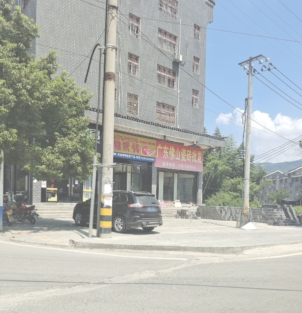 佛山照明(芙蓉路店)的图标