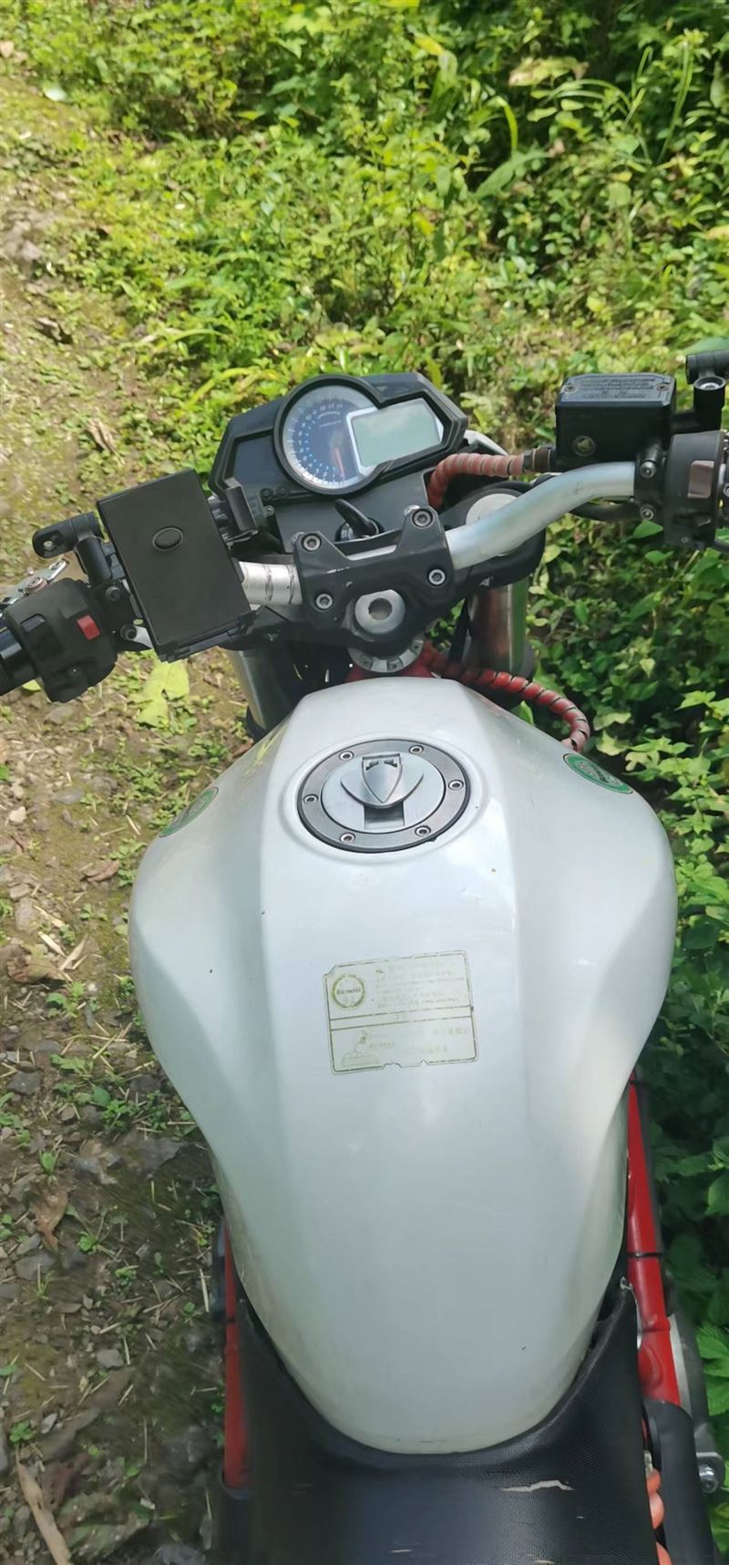 黄龙300