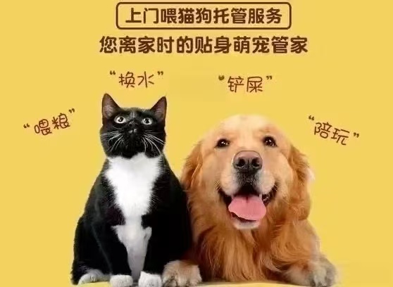 吉首，代遛宠物服务